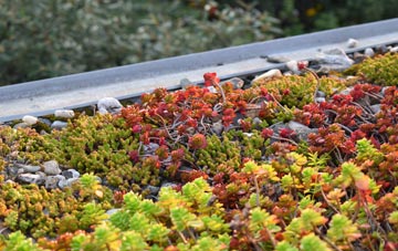 the cost of Hoy green roof installation