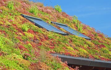 Hoy living roof systems