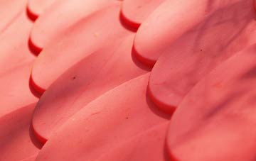 Hoy plastic roof costs