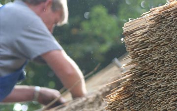 professional Hoy thatchers