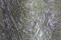 Hoy fibreglass roof work